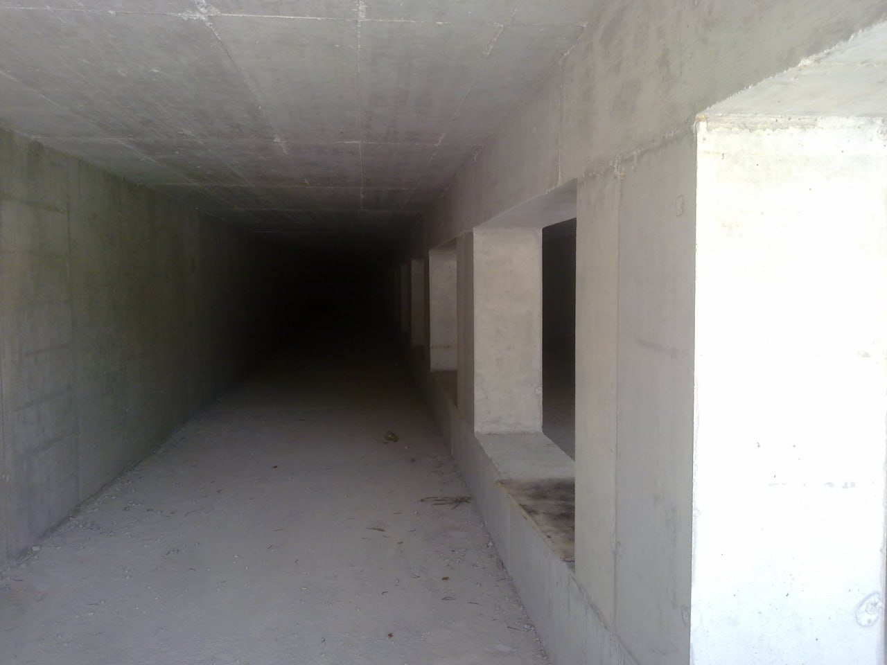 Phase 6
